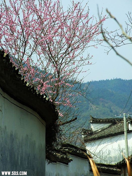 照片 252.jpg