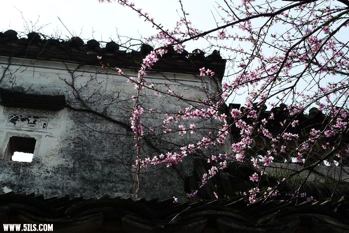 照片 045.jpg