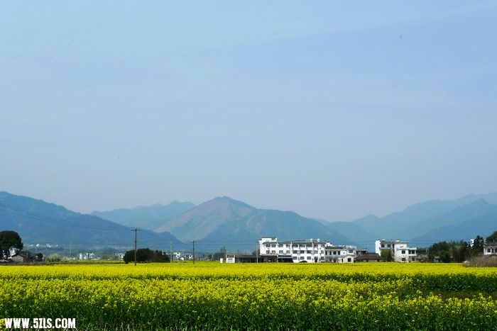 照片 060.jpg