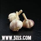 u=934857333,167433921&fm=0&gp=0.jpg