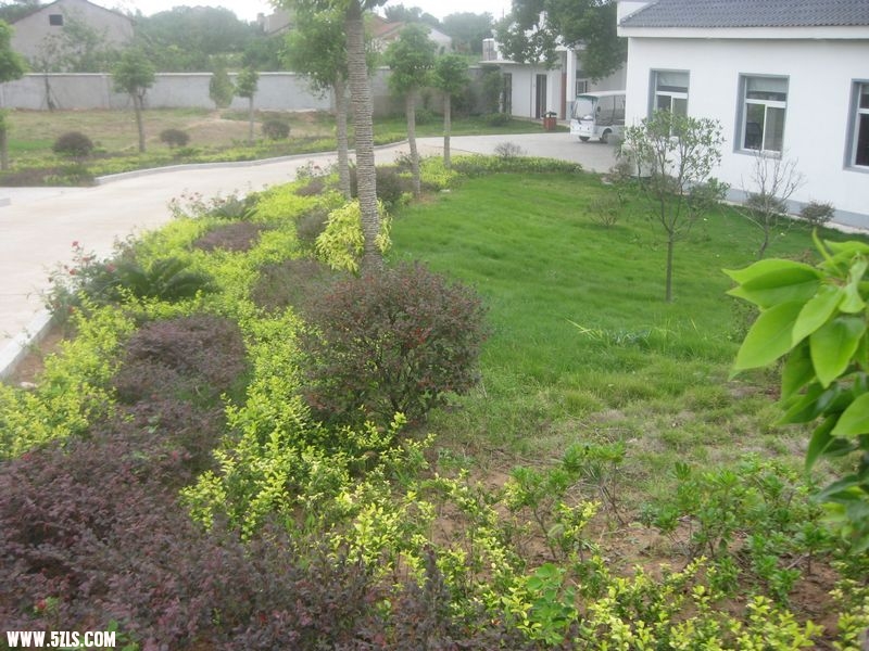 20110918 051.jpg