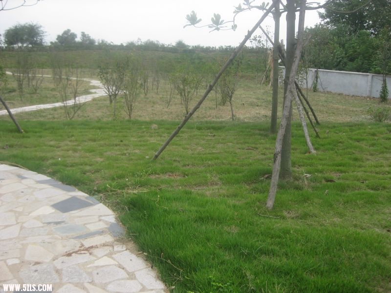 20110918 053.jpg