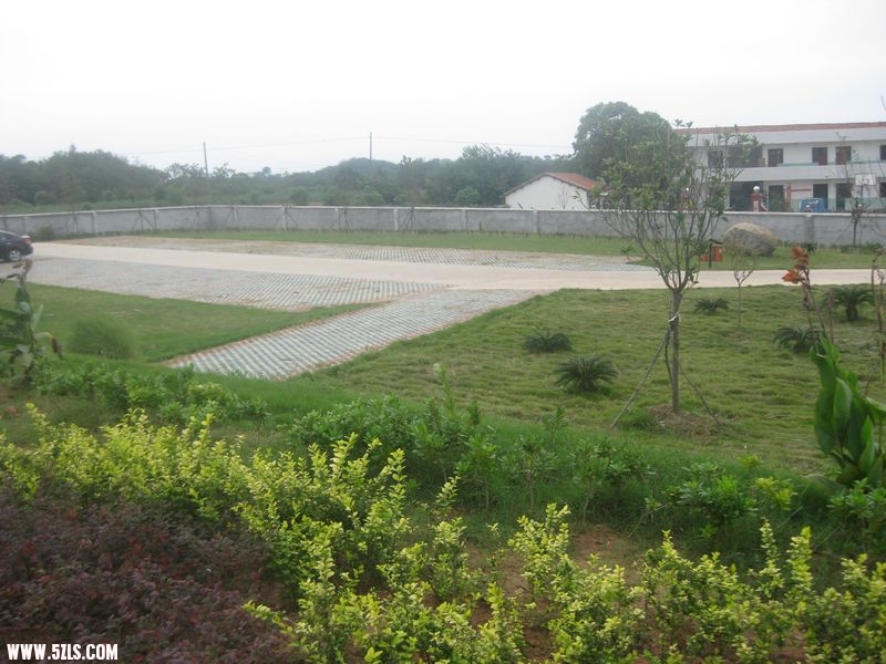 20110918 050.jpg