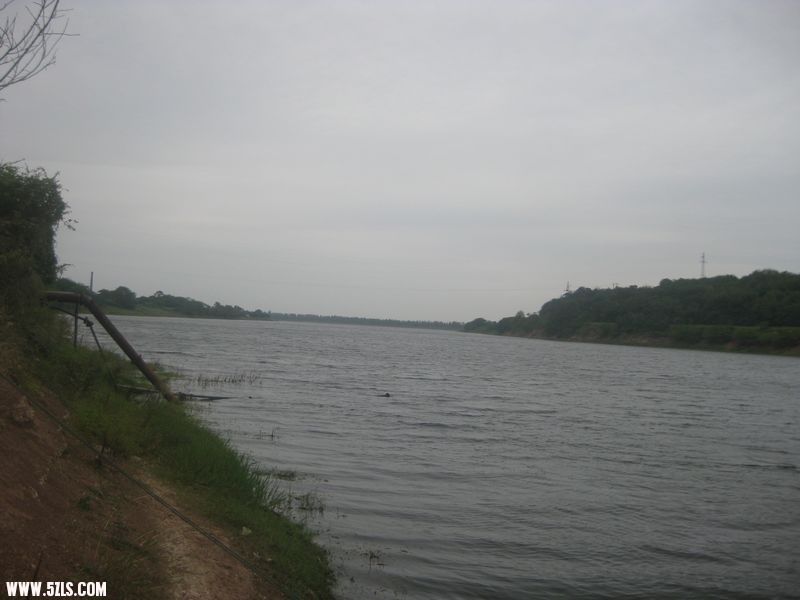 20110918 039.jpg