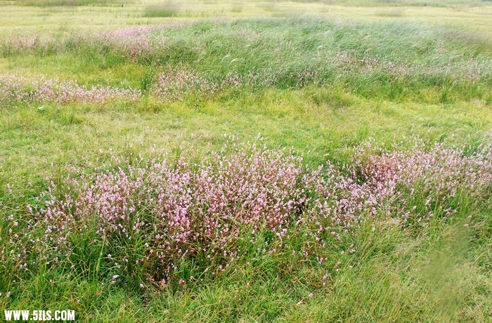 DSCF4735.JPG