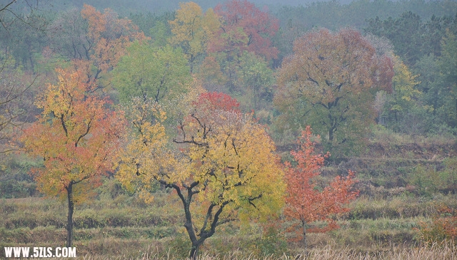 DSC_0092.jpg