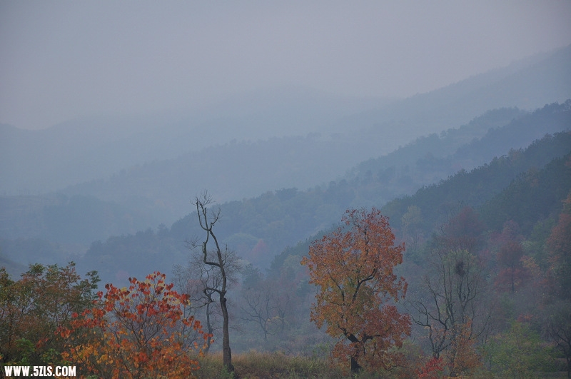 DSC_0103.jpg