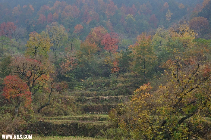 DSC_01250.jpg