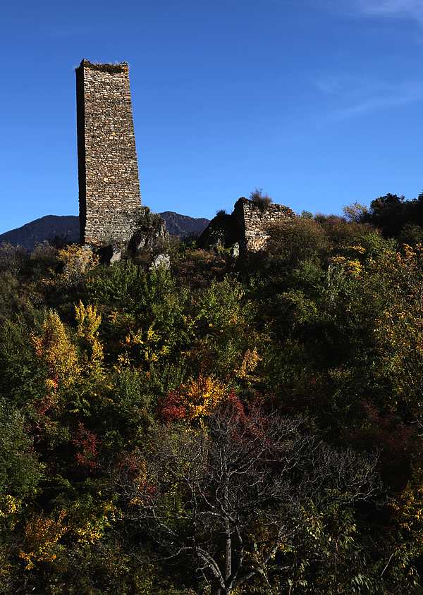 w_4456.jpg